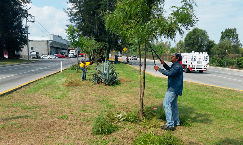 mejorar-imagen-avenidas-Uruapan