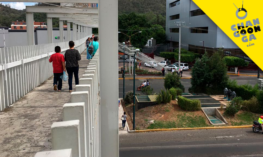 obra-peatonal-seguridad-Morelia