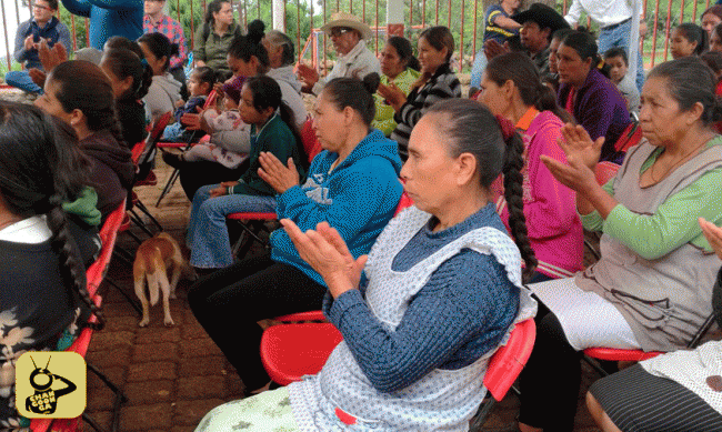 Cuanajillo-del-Toro-en-Tiripetio