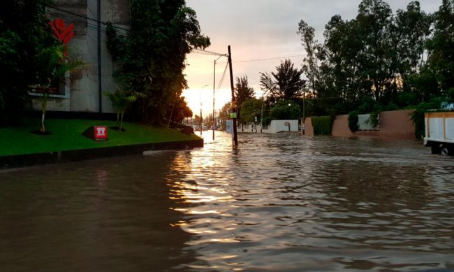 Siervo-de-la-Nacion-inundada-Morelia