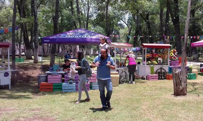 Picnic-bosque-Cuauhtemoc-