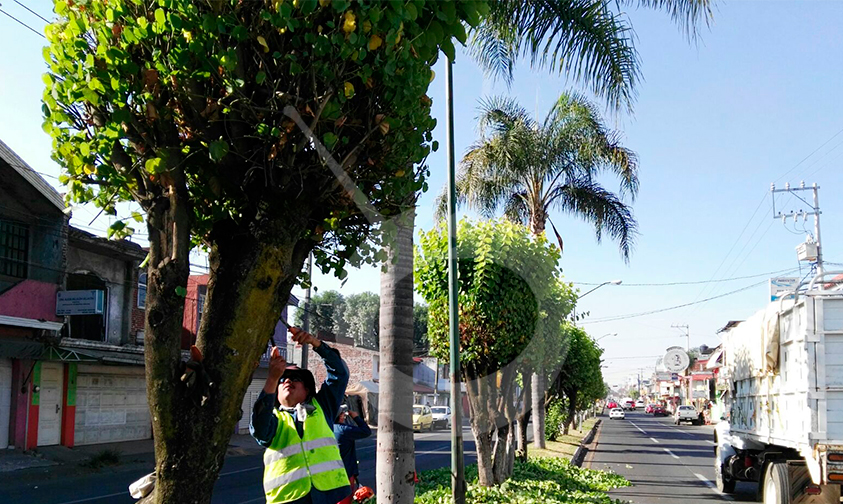 mantenimiento-áreas-verdes-Uruapan