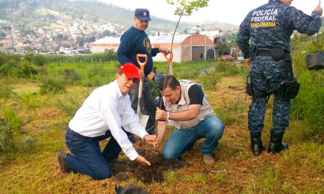 reforestacion-Morelia