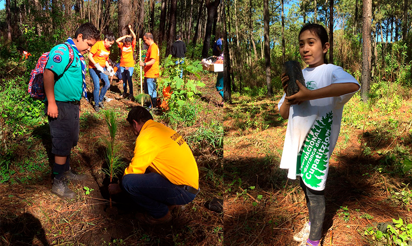 reforestación-Parque-Nacional-Uruapan-1