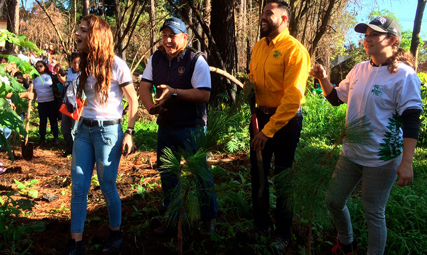 reforestación-Parque-Nacional-Uruapan-1