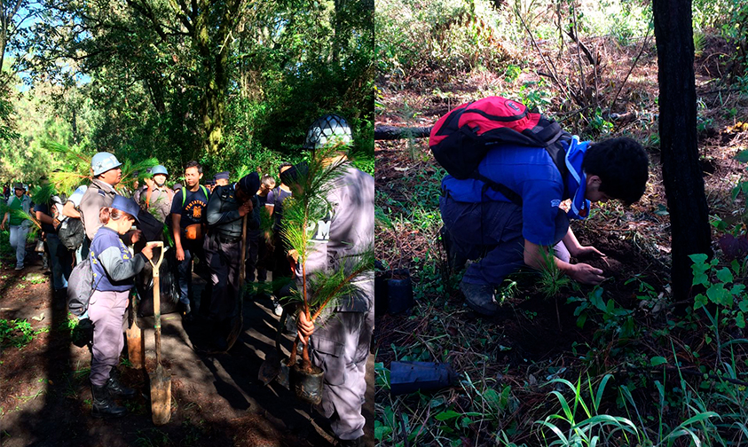 reforestación-Parque-Nacional-Uruapan-1