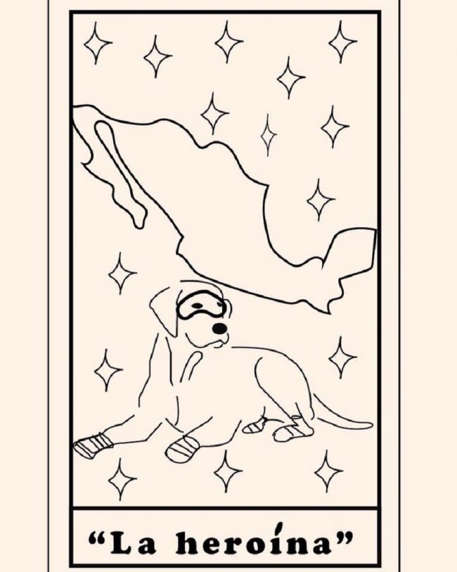Frida perro rescatista colorear 4