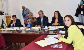 diputados