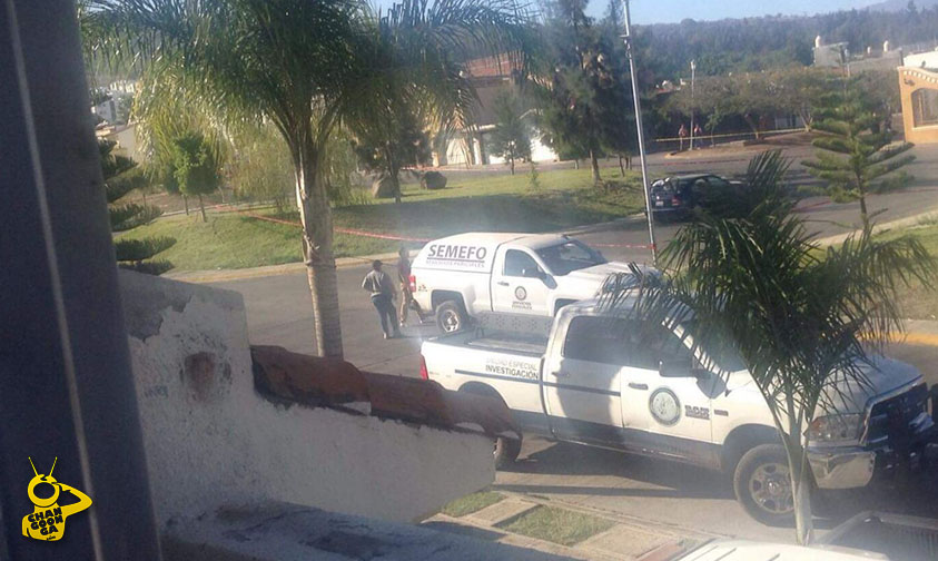cuerpos auto Zamora