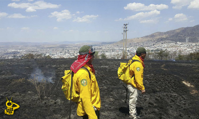 pastizal incendio Altozano