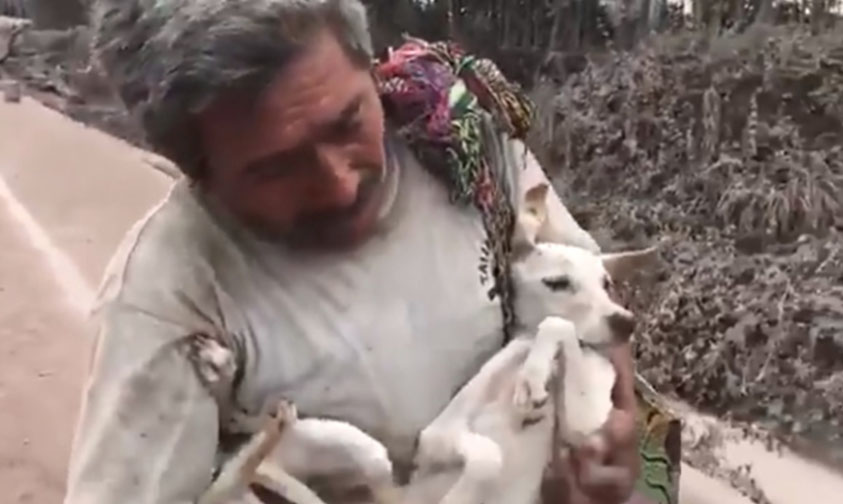 perrita Brava volcán Guatemala