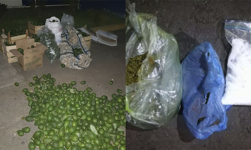 7 armados droga aguacate Uruapan a