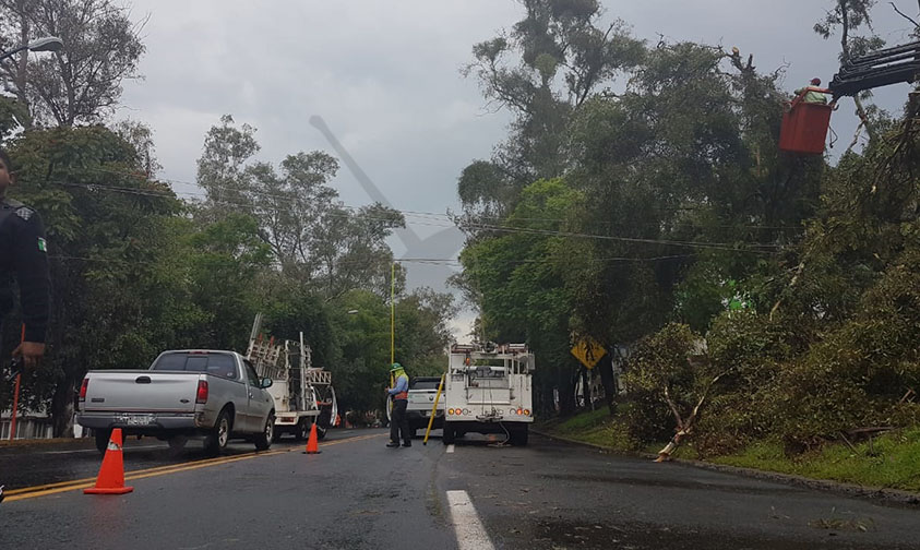 circulación lluvia Morelia b