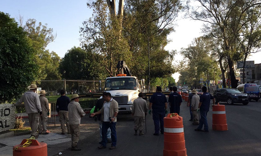 viales cuidado Morelia