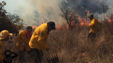 incendio-forestal-sur-Morelia