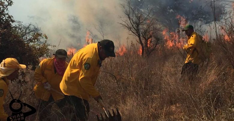 incendio-forestal-sur-Morelia