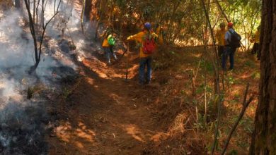 montana-Parque-Nacional-incendio-Uruapan-a