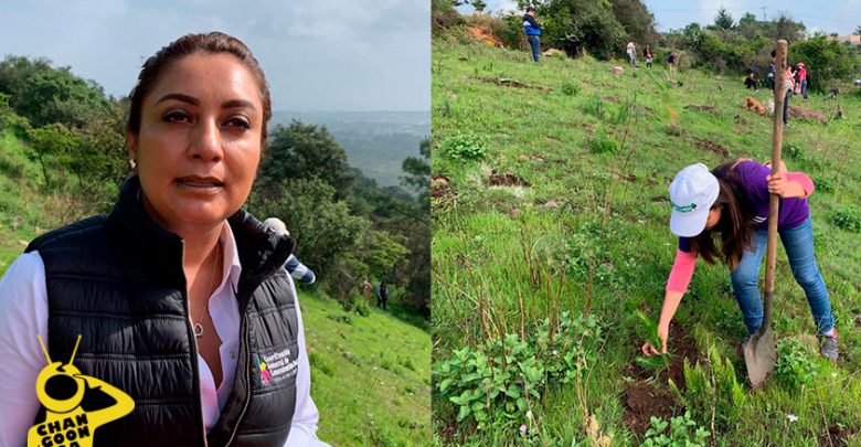 Julieta-López-Bautista-reforestación-cerro-verde-Morelia