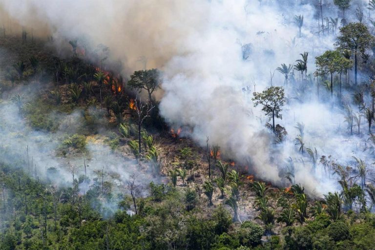 El Amazonas Lleva 16 Días Ardiendo En Llamas, Y Nadie Hace Nada ...