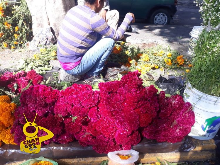 De 10 A 90 Varitos Flores Para Día De Muertos En Calzada Del Panteón  Municipal –  – Noticias de última hora, con un toque acidito