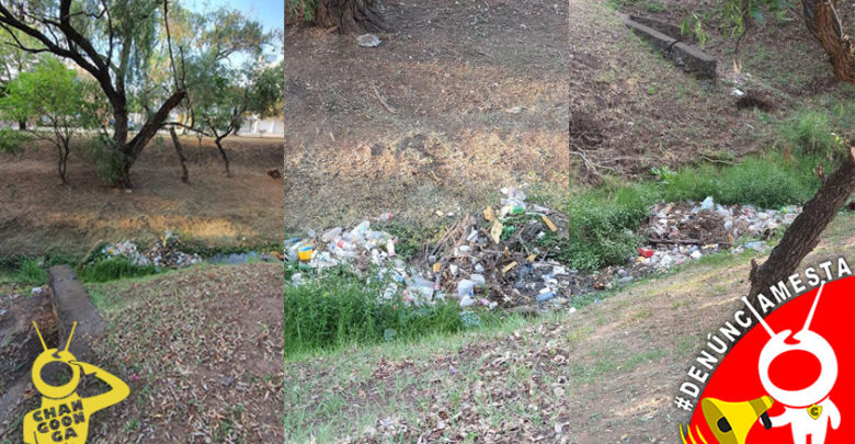 #Denúnciamesta Río todo puerco, vecinos de la Nueva Chapultepec tiran basura