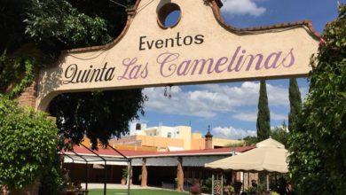 #Morelia Un Salón De Fiestas Se Suma A Los Negocios Clausurados Por Abrir Pese A COVID-19