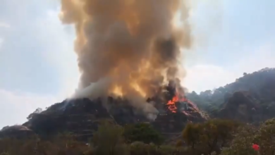 Por Grabar Tik Tok, Chava Habría Incendiado Área Natural Protegida De Morelos