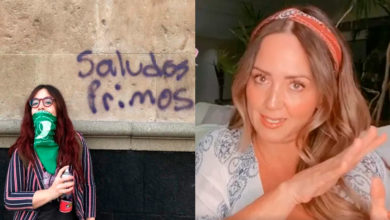 Acusan Que Saqueadora En CDMX Es Prima De Andrea Legarreta, Ella Lo Niega