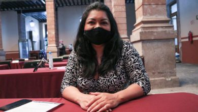 #Michoacán Diputada Del PT Propone Que No Haya Receso Legislativo