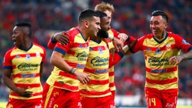 #Morelia Ningún Equipo Sustituirá Economía Que Generaba Monarcas: Especialista