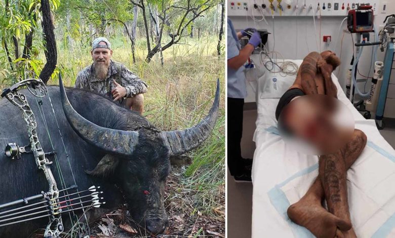 Búfalo Moribundo Atraviesa Con Su Cuerno A Cazador Que Le Acababa De Disparar