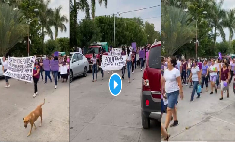 Exigen Justicia Para Valeria, Menor Violada Por Los Viagras En Michoacán