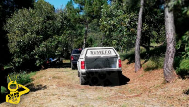 #Michoacán Entran A Huerta De Aguacate Y Matan A Balazos A 2 Abuelitos