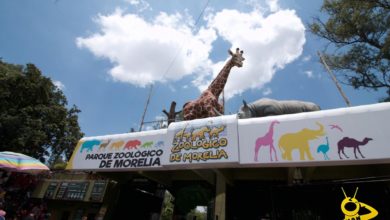 Visitantes No Respetan Sana Distancia En Reapertura del Zoológico de Morelia