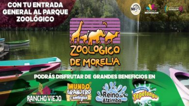 ¡50 AÑOS! Celebrará Zoo Moreliano Con Fantásticas Atracciones