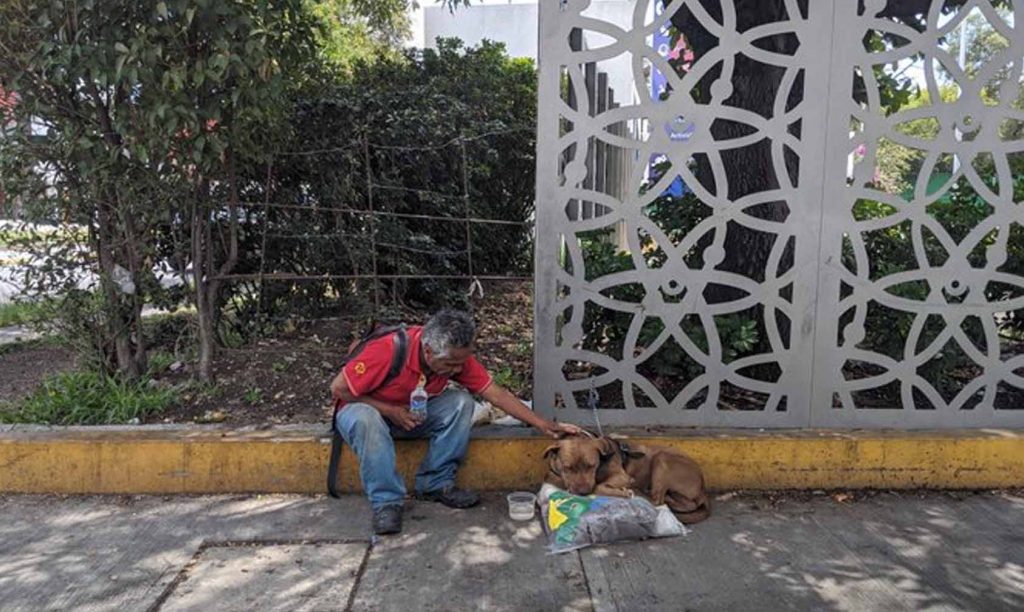 COVID-19 Le Quitó Su Trabajo Y Su Hogar, Lo Único Que Tiene Es A Su Fiel Lomito