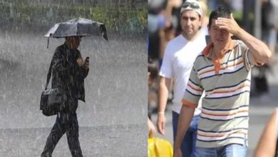 Clima Para Hoy En Michoacán Estará Loco, Perro Calorón Y Lluvias