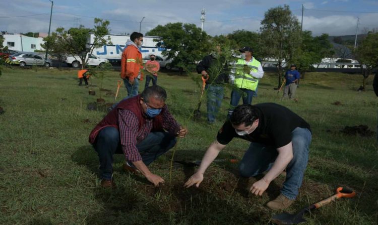 #Morelia Con 500 Plantas Morón Realiza 1era Reforestación Urbana 2020