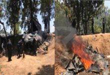 #Michoacán SSP Y GN Destruyen Narcocampamento