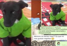 Rechazan A Peludita Por Ser Negrita Y Desata Polémica