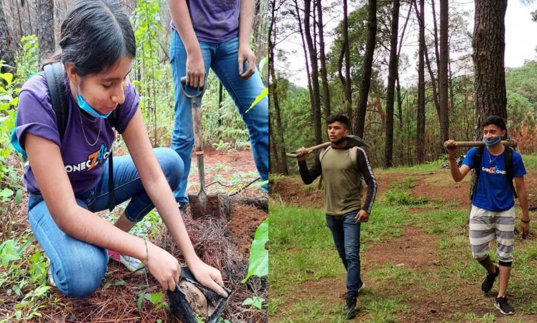 #Michoacán En Solo Dos Días Jóvenes Reforestan 2 Mil 500 Árboles 