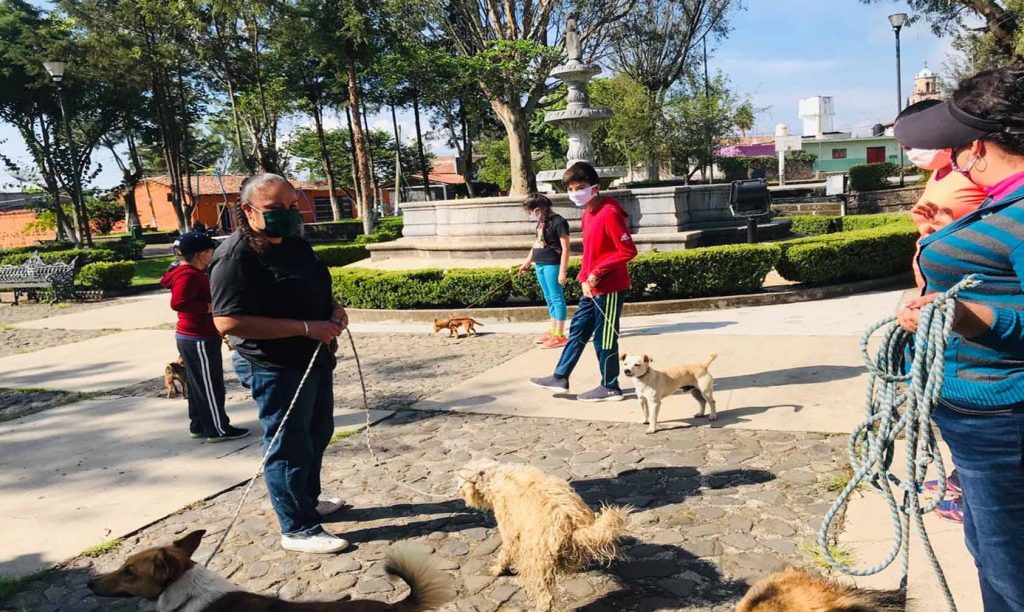 #Morelia Arranca Campaña De Vacunación Perruna En Tenencias