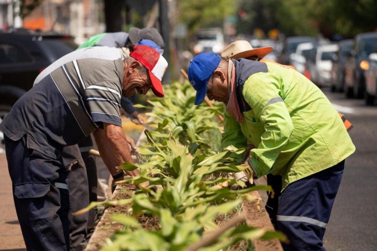 Proyecta Raúl Morón Una Imagen Limpia Y Ordenada De Morelia