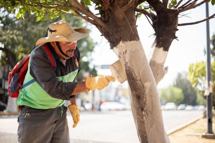 Proyecta Raúl Morón Una Imagen Limpia Y Ordenada De Morelia