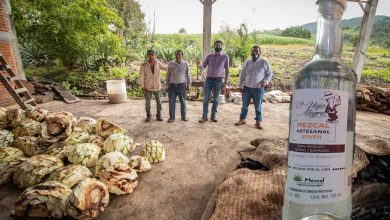 ¡Es Sábado! Y Alfonso Martínez Lo Sabe Con Mezcal Michoacano