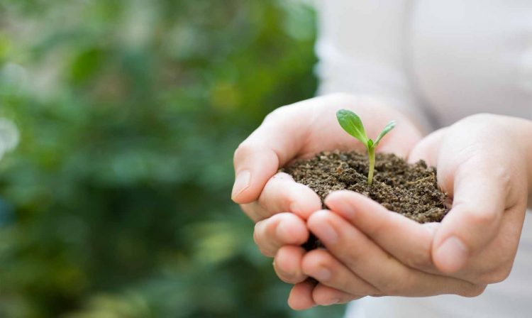 Lanzan Concurso Audiovisual Del Medio Ambiente Y COVID-19, Te Puedes Ganar 10 Mil Varos