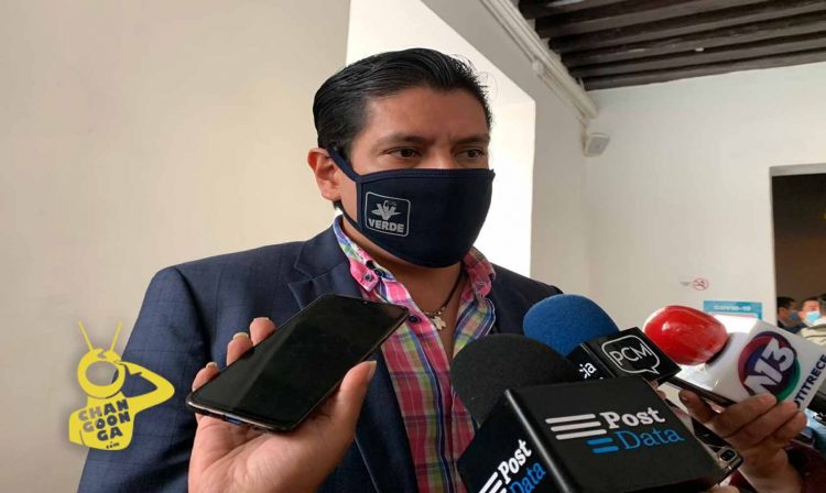 En Michoacán, PVEM No Irá Con Morena Porque Son Desorganizados