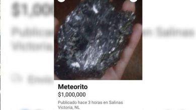 Ceniza de meteoritos