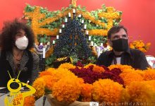 ¡Noche De Ánimas! Inspiración Musical, El Violinista Ara Malikian Presente Este 1 De Noviembre