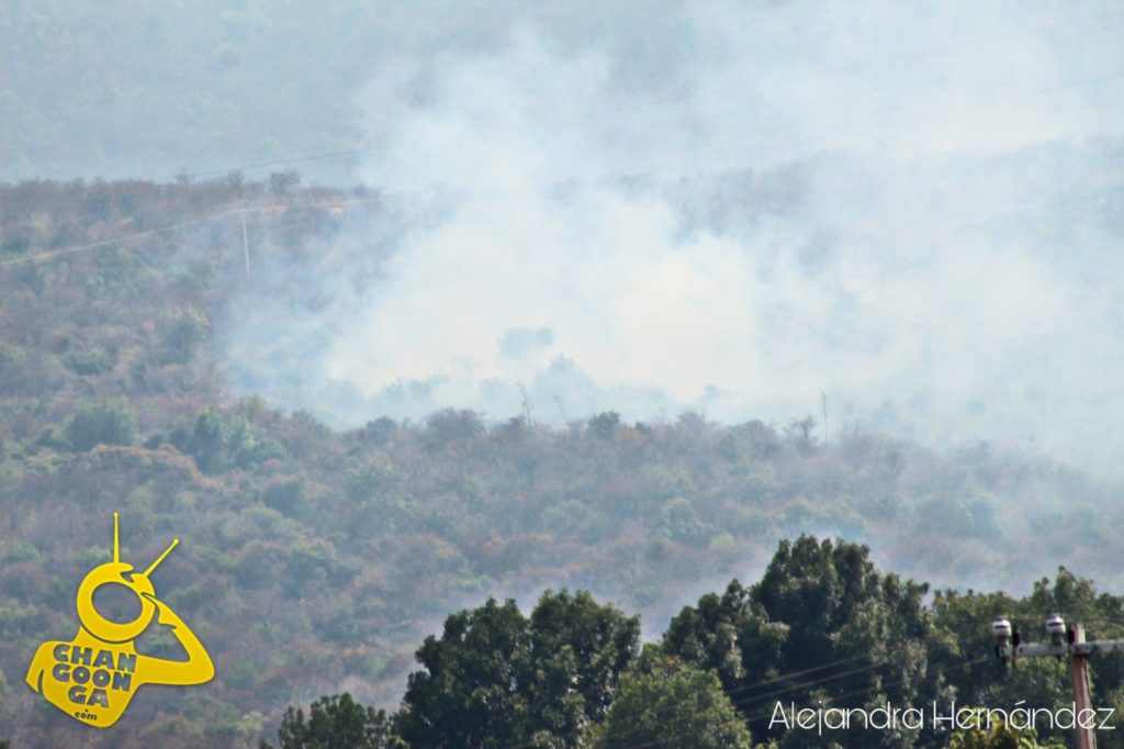 Morelia Pobladores Exigen Un Alto A Incendio En El Cerro Del Águila –   – Noticias de última hora, con un toque acidito